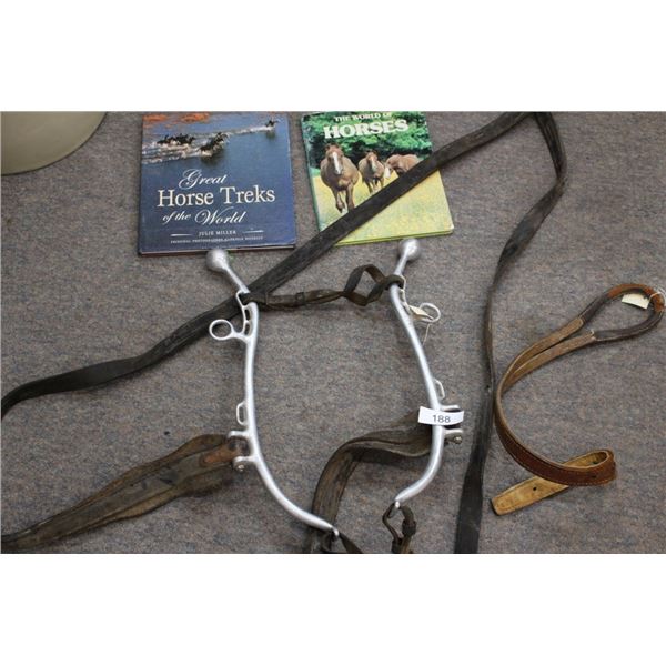 Set of Hanes and 2 Horse Books