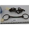 Image 1 : 1 Primitive Bit and 1 Rare Double Pull Cheek