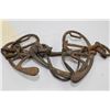 Image 2 : 1 Primitive Bit and 1 Rare Double Pull Cheek