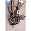 Image 3 : Leather Halter and  Bridle