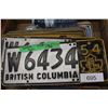 Image 2 : Misc. Vintage Double Licence Plates 1954-1966