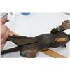 Image 3 : Rare Antique Cast Iron Dog - Nut Cracker