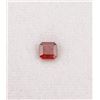 Image 1 : Mandarin Garnet