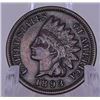 Image 1 : 1893 Indian head Cent