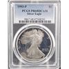 Image 1 : 1993-P Silver Eagle