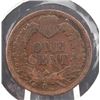 Image 2 : 1895 Indian Head Cent