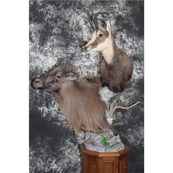 Tahr and Chamois on Octagonal Pedestal