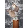 Image 3 : Tahr and Chamois on Octagonal Pedestal