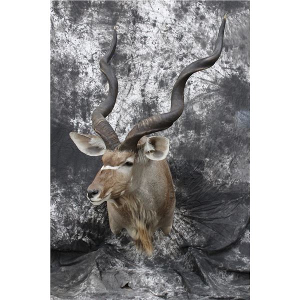 Kudu