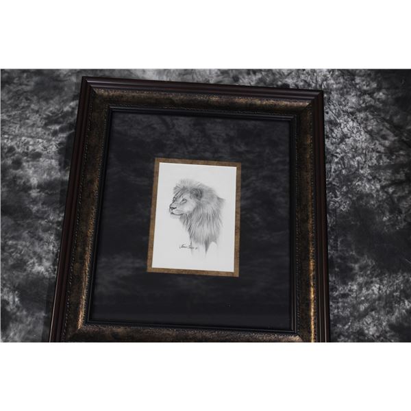 Lion Pencil Drawing - Josh Spies