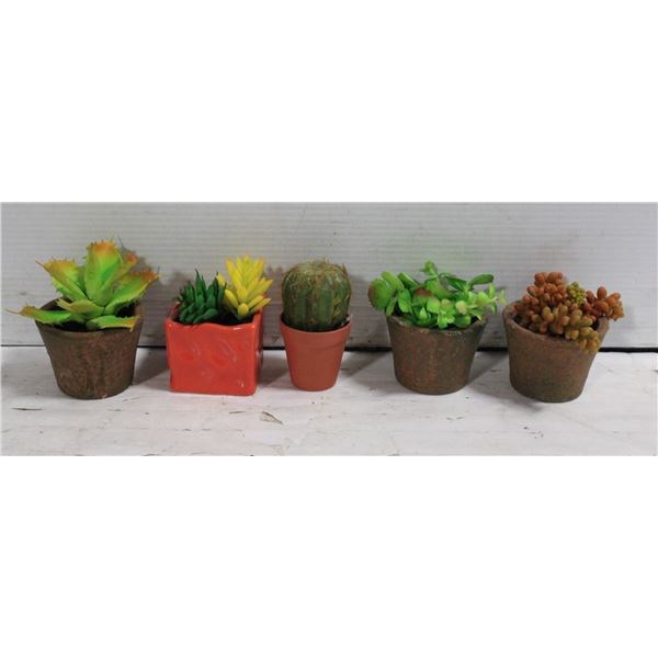 BOX WITH 5 FAUX SUCCULENT PLANTS