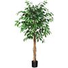 Image 1 : BRAND NEW 5 FT ARTIFICIAL FISCUS TREE