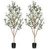 Image 1 : NEW KAZEILA ARTIFICIAL OLIVE TREES - 2 PACK - 4'