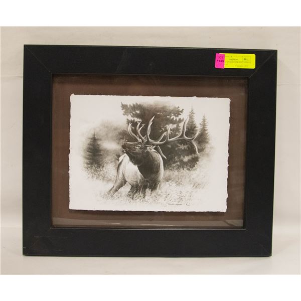 FRAMED CANADIAN MOOSE APPROX 12 INCHES X