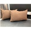 Image 1 : Lot of 2 Canvas Throw Pillows-Brown