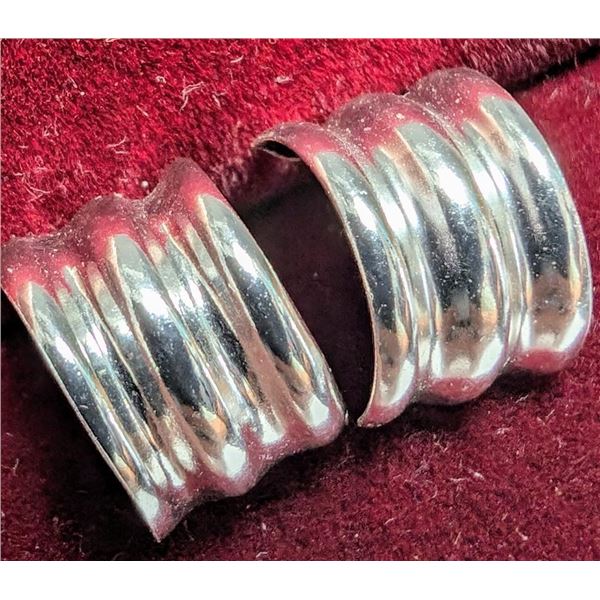 Silver Earrings, Suggested Retail Value $30