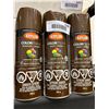 Image 1 : 3 Pack Krylon Indoor Outdoor Paint Gloss Leather Brown