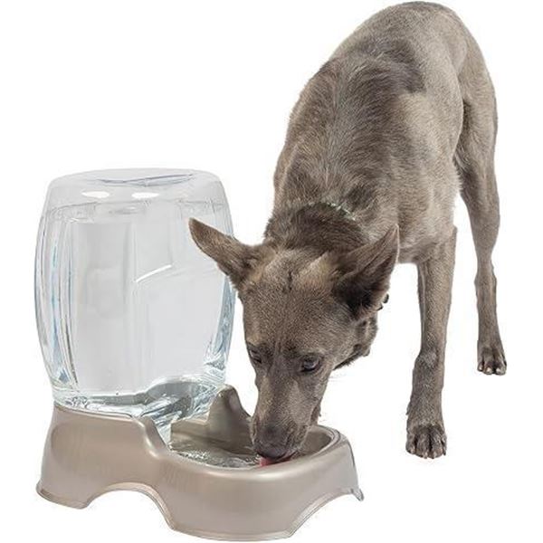 Petmate 24405 Pet Cafe Pet Waterer, 3-Gallon (Pearl Tan)