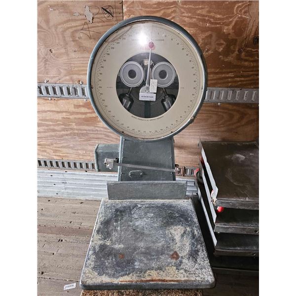 250Lb Industrial Resturant Scale Berkel Type 3000