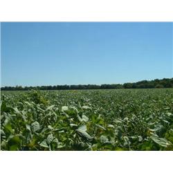 N/2 of NE/4 and NE/4 of NW/4 of Sec. 20-23N-R1 E.I.M., Noble Co., OK.