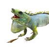 Image 2 : Iguana home decor sculpture on tree log prop