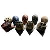 Image 1 : Group of 9 Halloween decor skull props