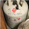 Image 2 : Group of 4 Propane tanks