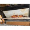 Image 2 : Shelf lot - Misc. sized picture frames