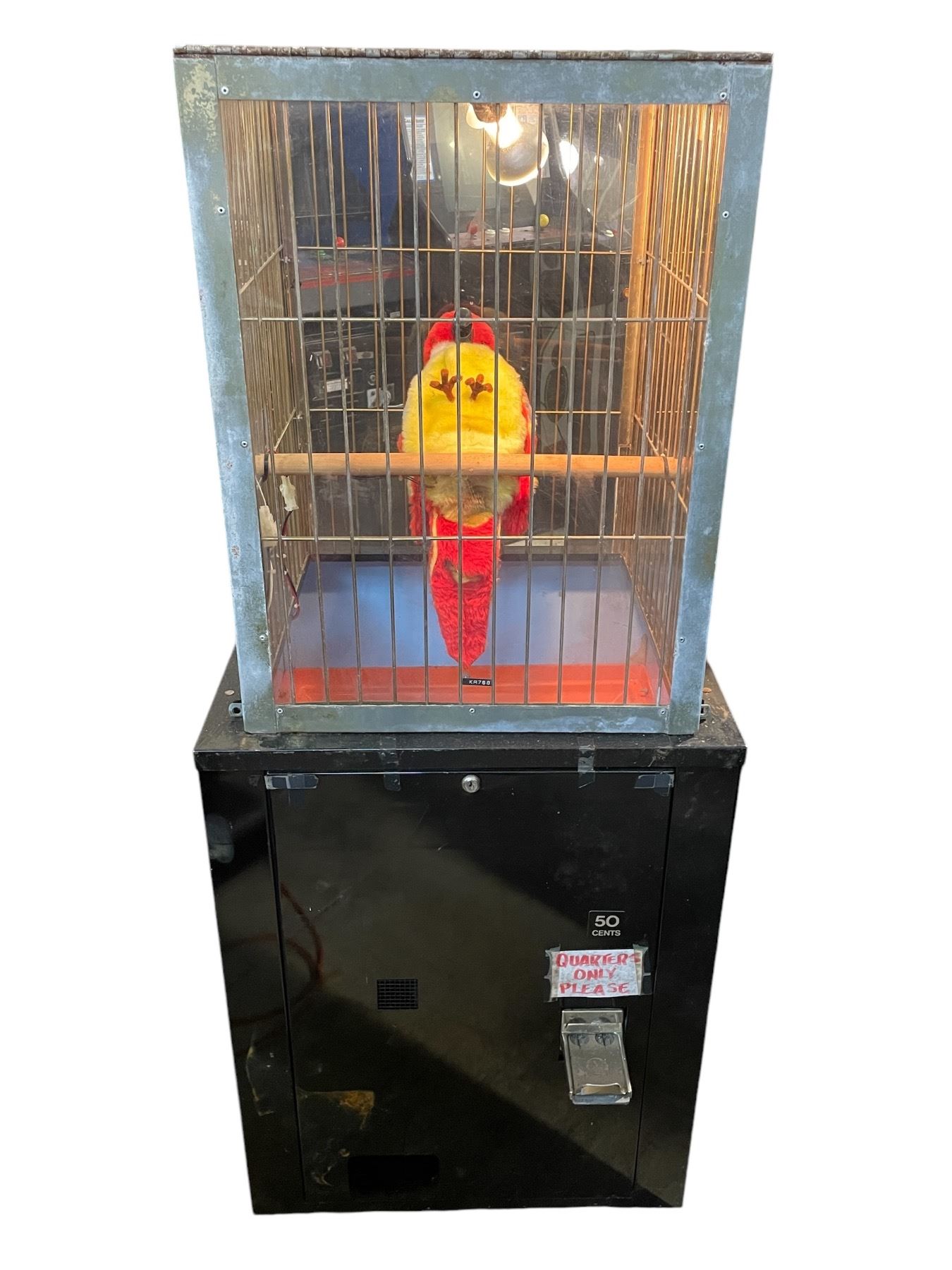 Parrot Coin Machine Movie Hut Corp - Talking Parrot Coin Operated Prize Arcade Game - model ...