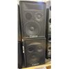 Image 1 : 2 PC - Carvin 1584 Speaker units