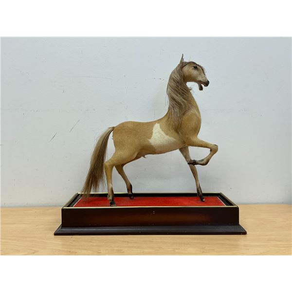 Nicely Detailed Horse Sculpture on Wooden Base - Base approx: 17.75x6.75" & 17.5"T