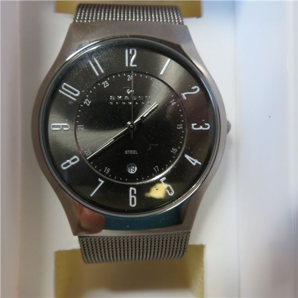 SKAGEN Denmark Mens watch in original case.  Appears lightly used and in working condition