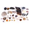Image 1 : ASSORTED POLISHED STONES, MINERALS & FOSSILS