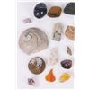 Image 2 : ASSORTED POLISHED STONES, MINERALS & FOSSILS