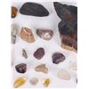 Image 3 : ASSORTED POLISHED STONES, MINERALS & FOSSILS