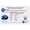 Image 5 : 25.65CT LARGE OVAL-CUT BLUE SAPPHIRE W/ EGL CERT