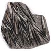 Image 2 : 18 LB. ORTHOCERAS FOSSIL SPECIMEN 16 X 17"