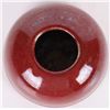Image 5 : CHINESE RED PORCELAIN INK WELL & BOWL