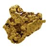 Image 1 : 1.31 Gram Sinaloa, Mexico Gold Nugget