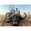 Image 2 : Cape Buffalo Hunt up to 42 Inches (South Africa)