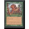 Image 1 : Magic the Gathering Verdeloth the Ancient Invasion