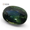 Image 2 : Incredible 1.2 Ct GIA Certified Natural Sapphire