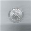 Image 1 : 2013-W Silver Eagle Dollar Uncirculated Coin