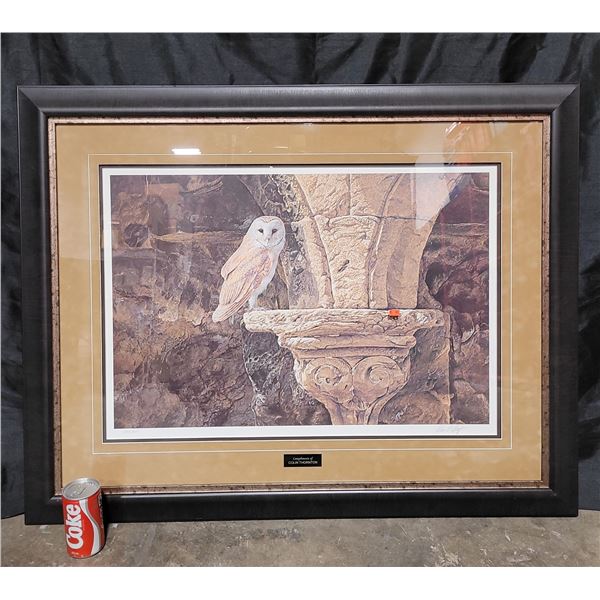 Framed Owl Print by Colin Thornton