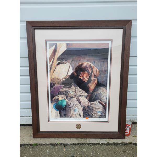 Signed & Numbered "Rookie - Chocolate Lab" Print by John Aldrich