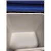Image 2 : 2 Coleman Coolers