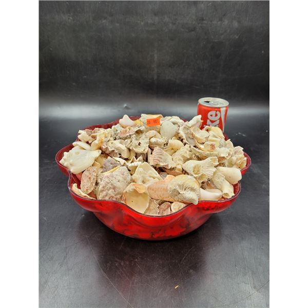 Red Bowl of Seashells