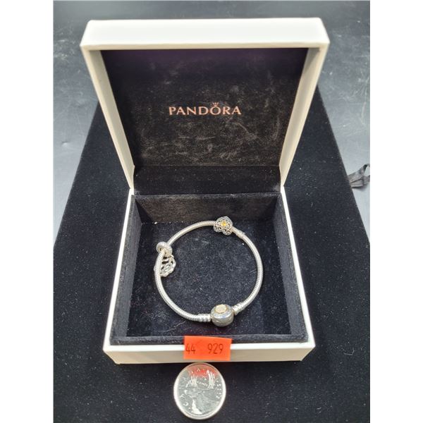 Pandora Charm Bracelet