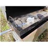 Image 4 : Stainless Whole Hog Propane BBQ