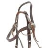 Image 6 : Great Basin Silver Mounted Transition Bridle Bit